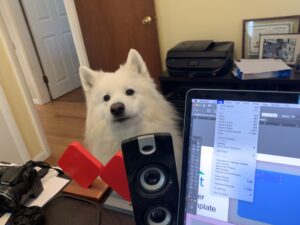 Bring Your Dog to Work Day!